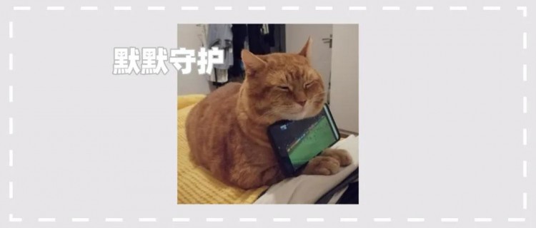 30张温暖美好的图片证明：猫咪就像小天使，默默守护身边的人